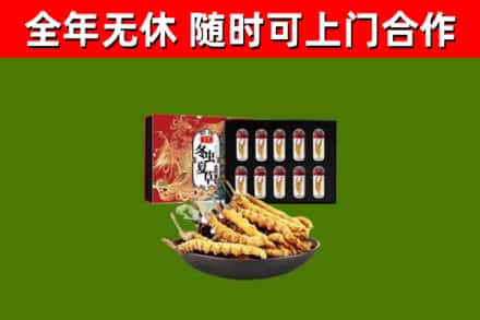 晋安回收冬虫夏草价格