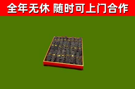 晋安回收海参